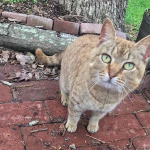 Meet your Posher, Danliyana